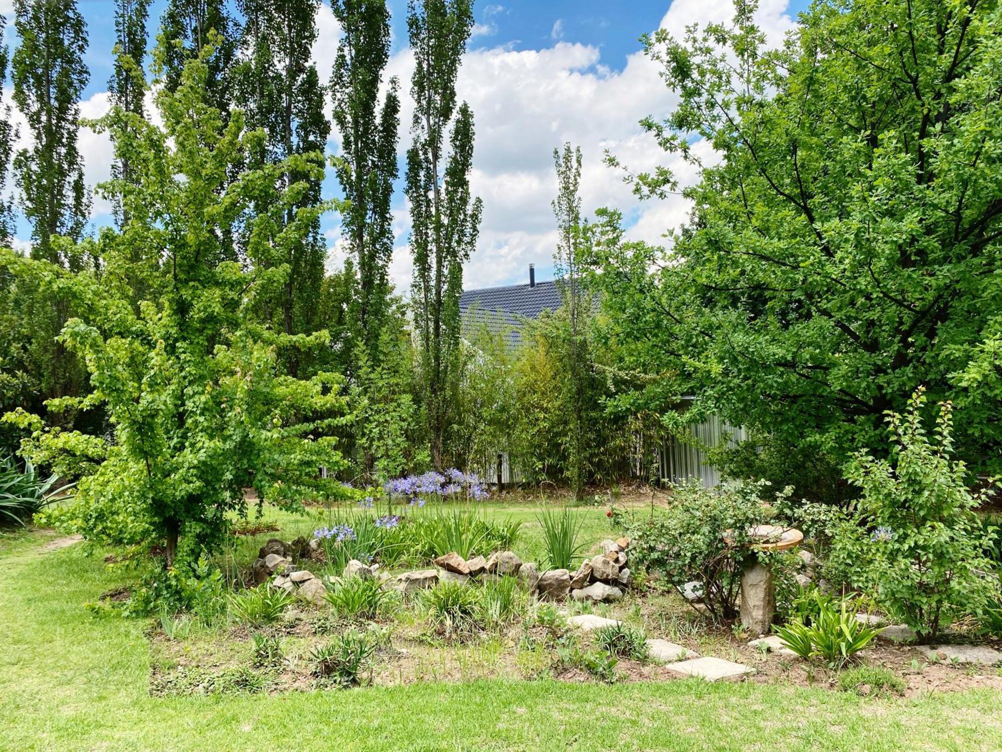 Collett House And Lavender Cottage 克拉伦斯 外观 照片