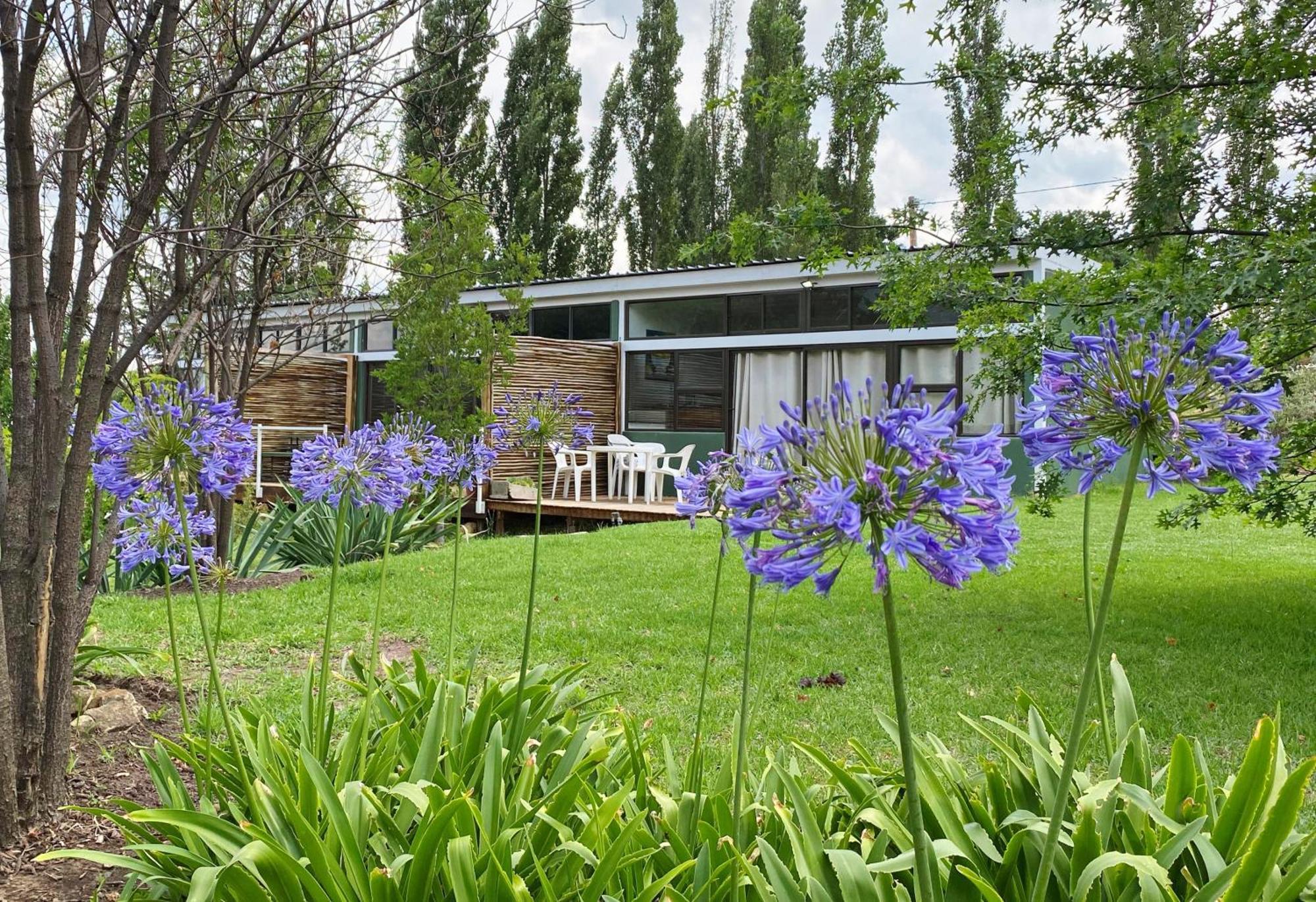 Collett House And Lavender Cottage 克拉伦斯 外观 照片